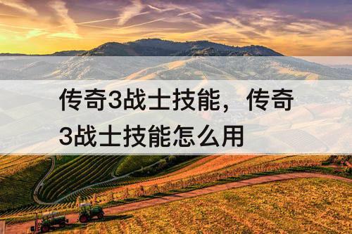 传奇3战士技能，传奇3战士技能怎么用