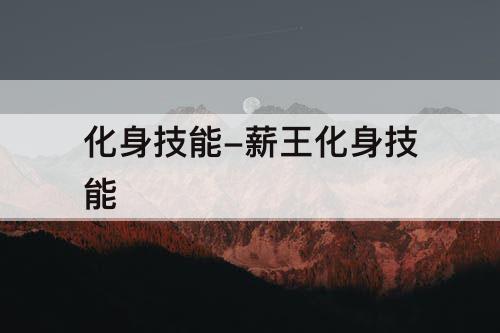 化身技能-薪王化身技能