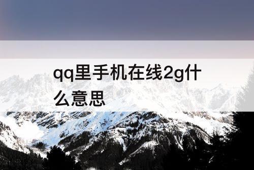 qq里手机在线2g什么意思
