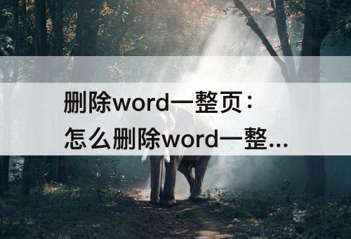 删除word一整页：怎么删除word一整页内容