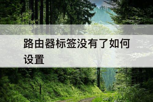路由器标签没有了如何设置