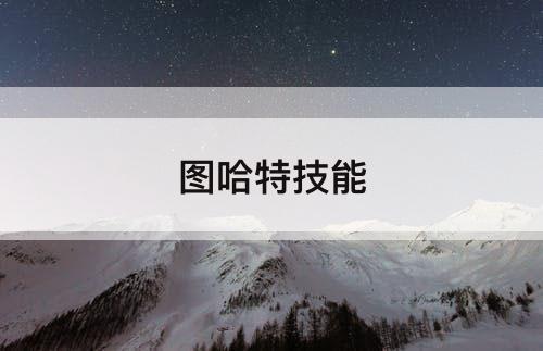 图哈特技能