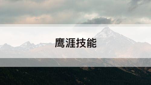 鹰涯技能