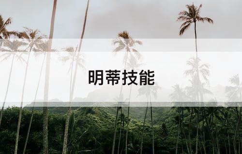 明蒂技能