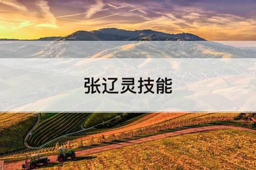 张辽灵技能