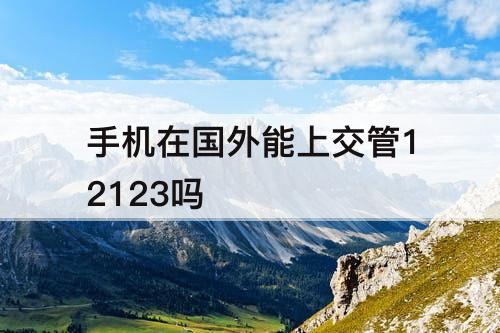 手机在国外能上交管12123吗