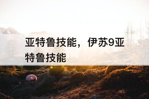 亚特鲁技能，伊苏9亚特鲁技能