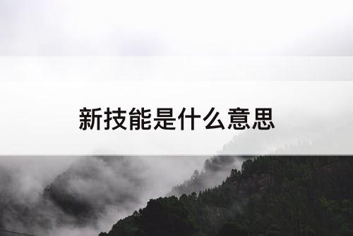 新技能是什么意思