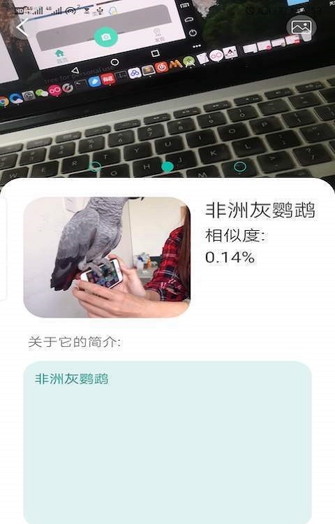 天天识别软件截图