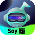 Say嗨元宇宙安卓版