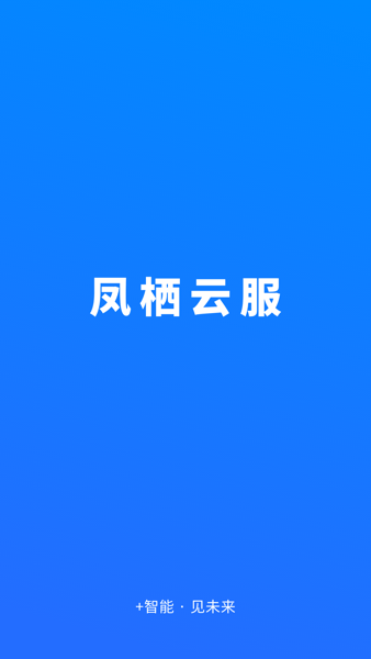 凤栖云服平台截图