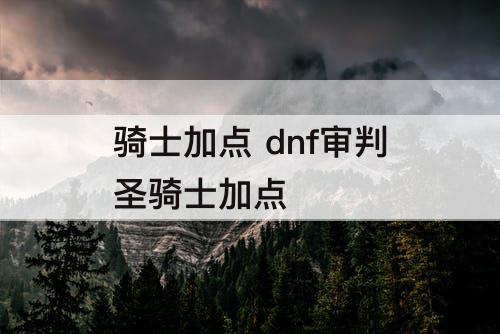 骑士加点 dnf审判圣骑士加点