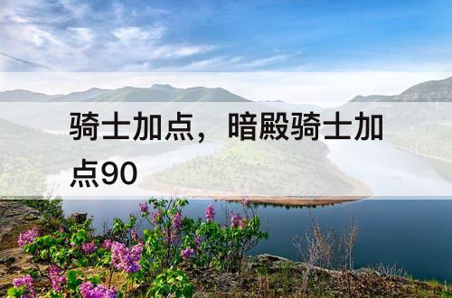 骑士加点，暗殿骑士加点90