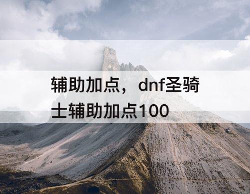 辅助加点，dnf圣骑士辅助加点100