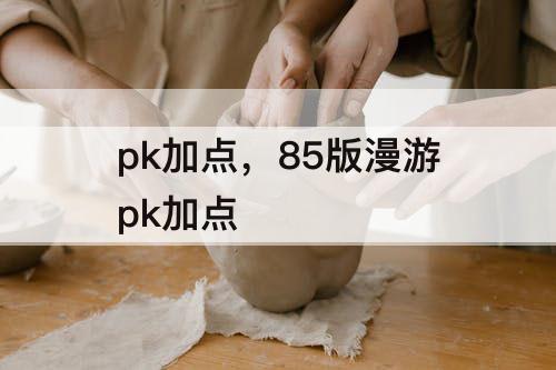 pk加点，85版漫游pk加点