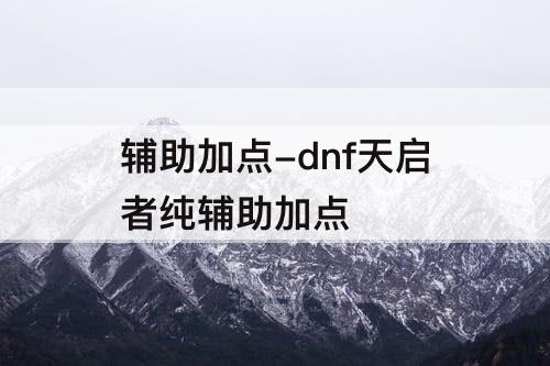 辅助加点-dnf天启者纯辅助加点