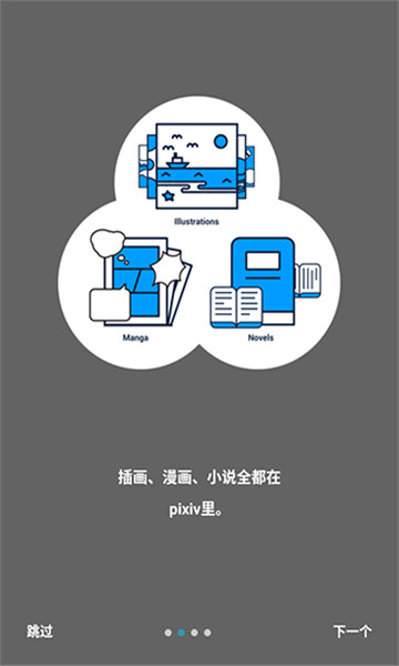 proburn中文版华为下载截图