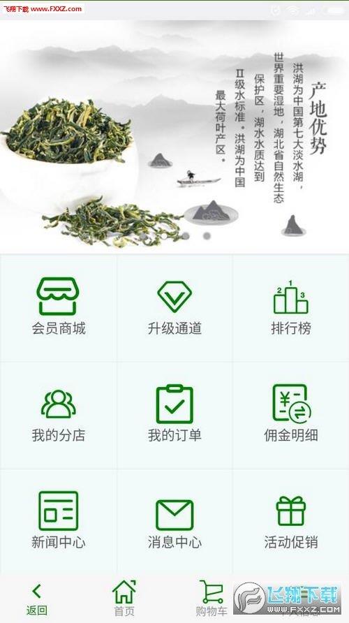 忆荷塘截图