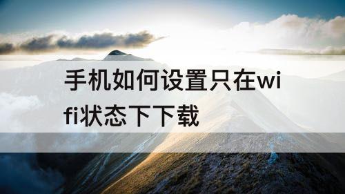 手机如何设置只在wifi状态下下载