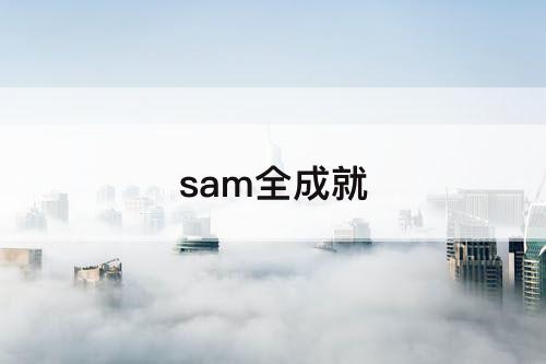 sam全成就