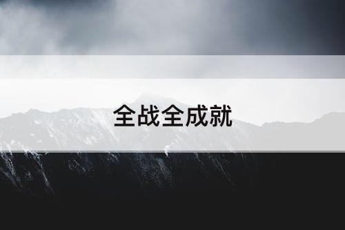 全战全成就