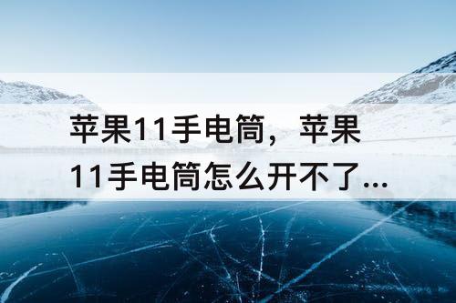 苹果11手电筒，苹果11手电筒怎么开不了怎么办