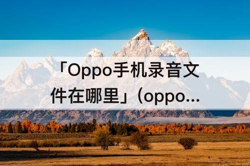 「Oppo手机录音文件在哪里」(oppo手机录音文件在哪里找到)
