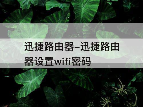 迅捷路由器-迅捷路由器设置wifi密码