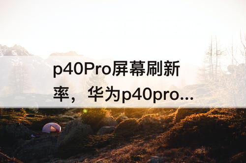 p40Pro屏幕刷新率，华为p40pro屏幕刷新率是多少