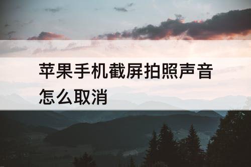 苹果手机截屏拍照声音怎么取消