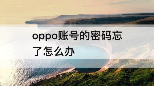 oppo账号的密码忘了怎么办