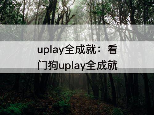 uplay全成就：看门狗uplay全成就