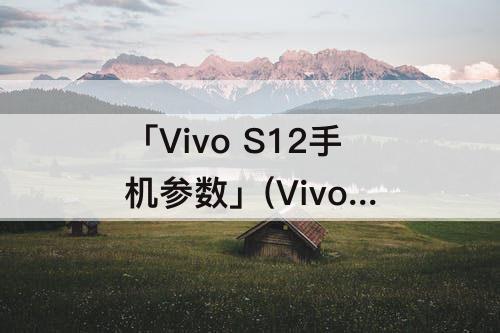 「Vivo S12手机参数」(Vivo s12手机参数规格)