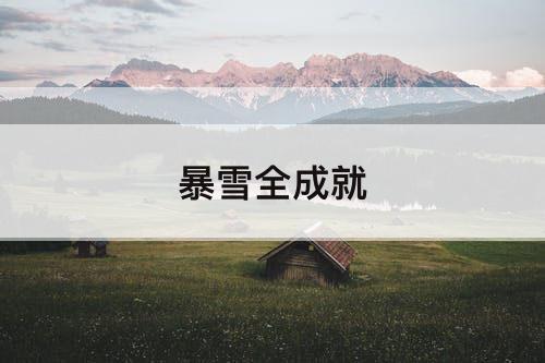 暴雪全成就