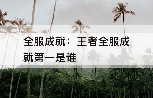 全服成就：王者全服成就第一是谁