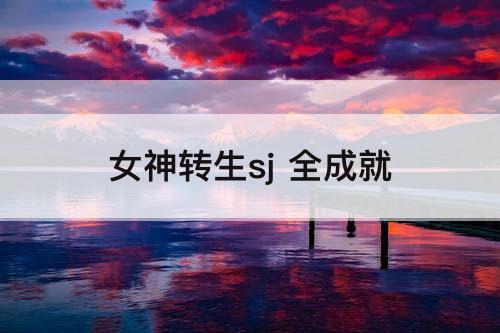 女神转生sj 全成就