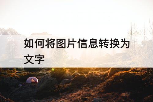 如何将图片信息转换为文字