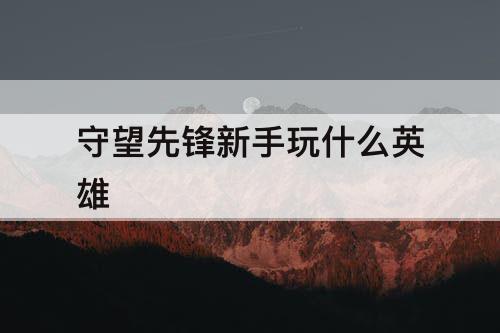 守望先锋新手玩什么英雄