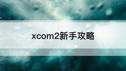 xcom2新手攻略