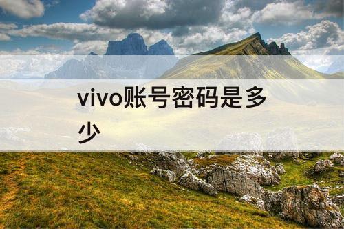 vivo账号密码是多少