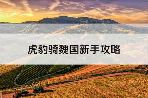 虎豹骑魏国新手攻略