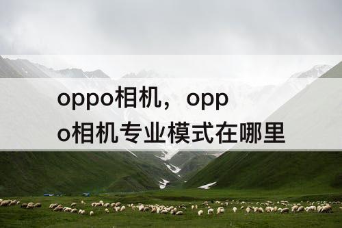 oppo相机，oppo相机专业模式在哪里