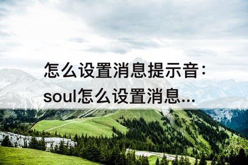 怎么设置消息提示音：soul怎么设置消息提示音