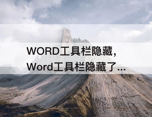 WORD工具栏隐藏，Word工具栏隐藏了怎么恢复