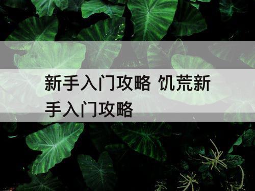 新手入门攻略 饥荒新手入门攻略