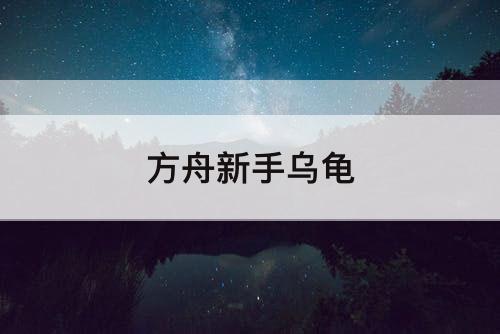 方舟新手乌龟