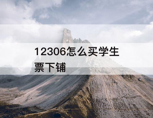12306怎么买学生票下铺