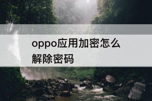 oppo应用加密怎么解除密码