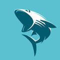 鲨鱼影视手机版