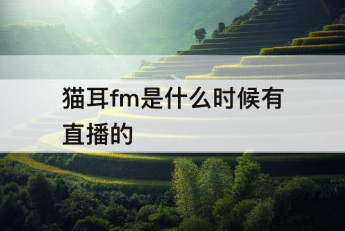 猫耳fm是什么时候有直播的